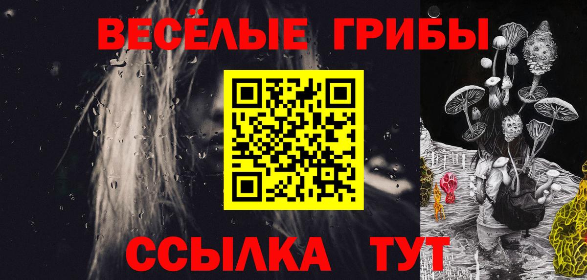 Альметьевск  Псилоцибиновые грибы Psilocybe  Вход с VPN 